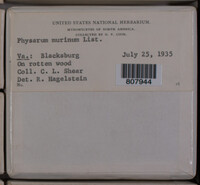 Image Associated With the Occurence